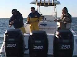 Norwalk, CT - Blackfish Part 1 & 2 - 2007