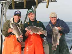 Sandy Hook, NJ - Blackfish - 2009