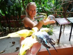 bird-park-malezija-langkawi