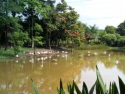 wetland-park