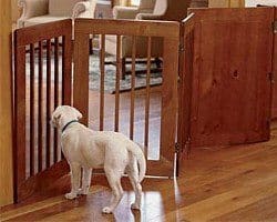 A Yellow Labrador puppy standing behind a wooden pet barrier