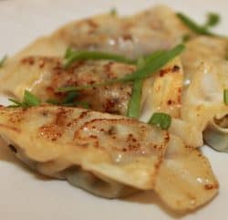 pan fried bacon pot stickers