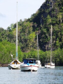jedrlilice-langkawi
