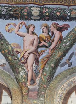 venere irata