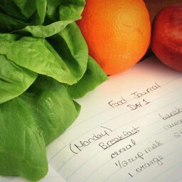 you can fill in a food log by hand
