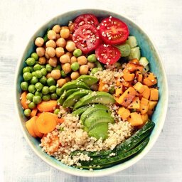 Main Vegan Meals Setup