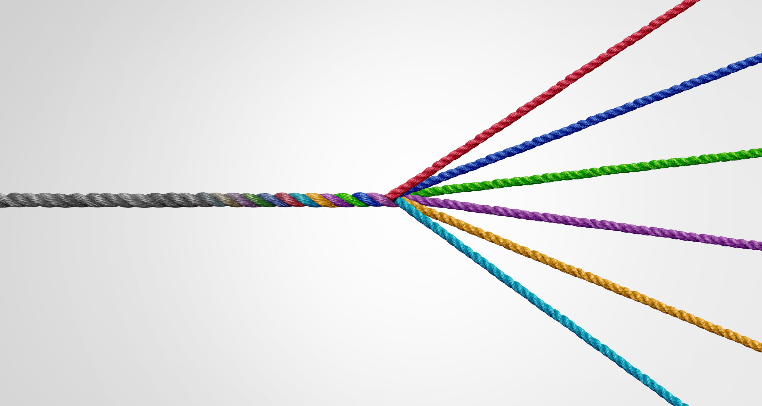 Diversification strategy as a business concept to diversify as a success plan for market growth as a group of ropes representing diversity and a portfolio with variety spreading out to manage risk. Diversification strategy as a business concept to diversify as a success plan for market growth as a group of ropes representing diversity and a portfolio with variety spreading out to manage risk.