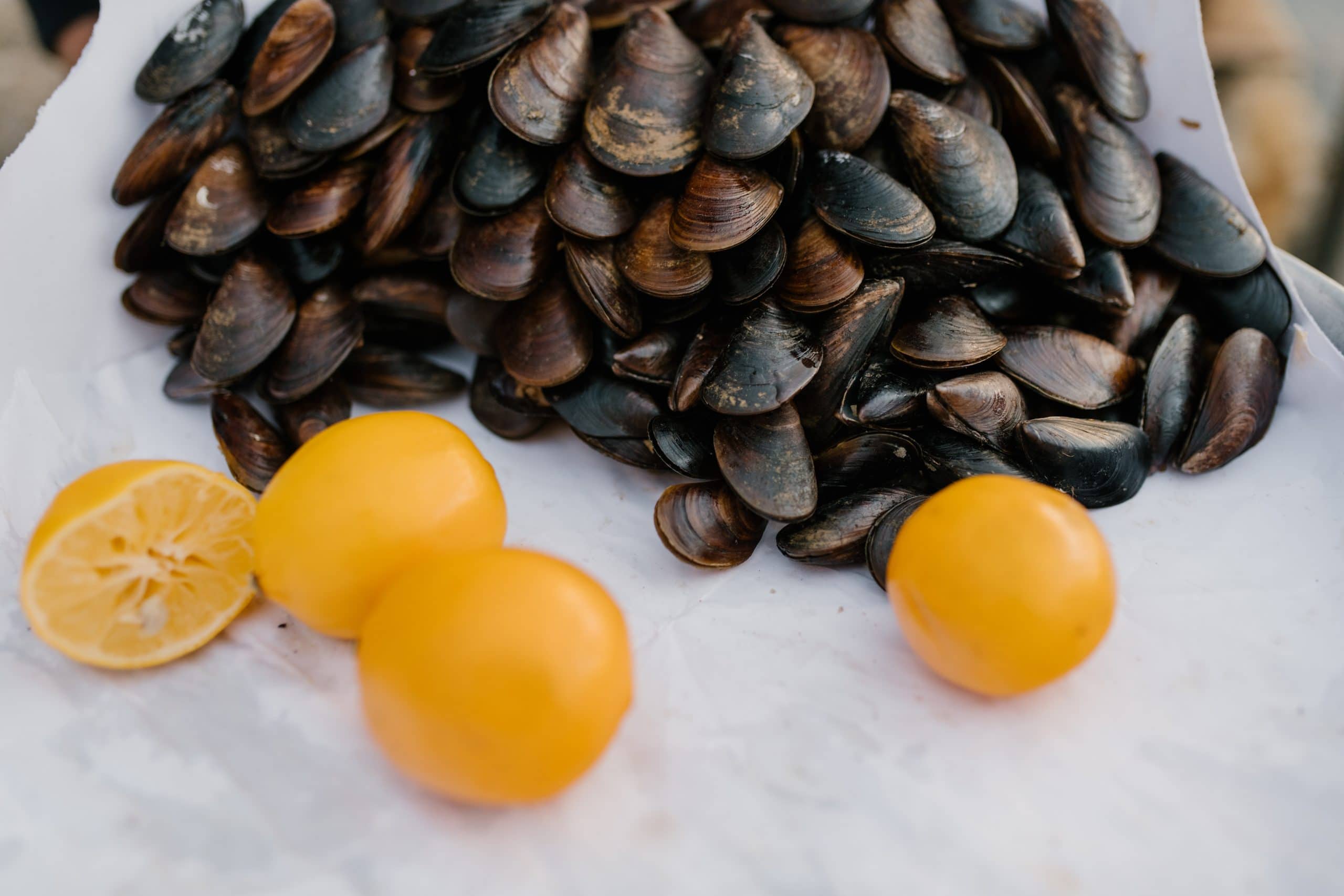 Mussels