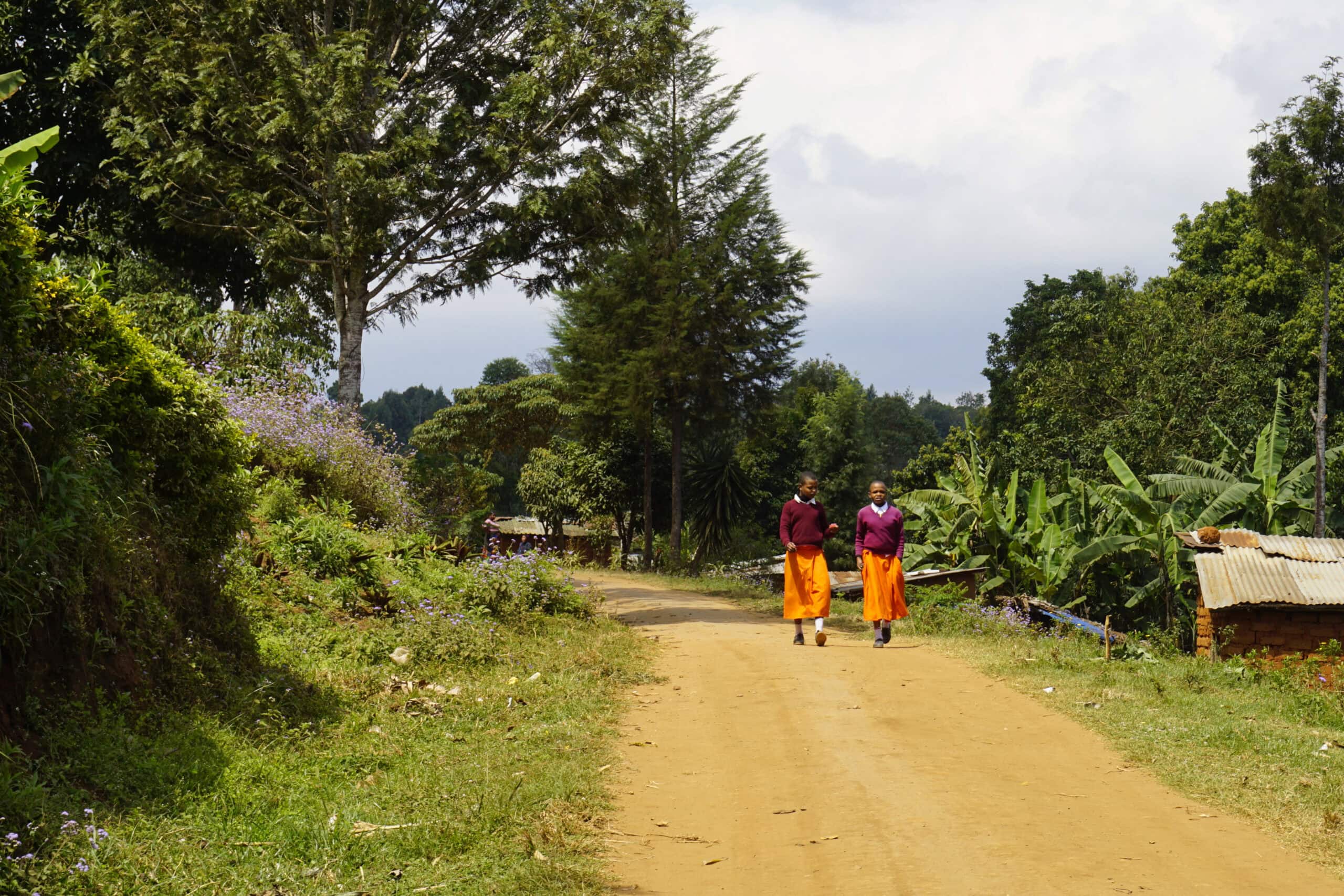 Road towards Irente Viewpoint from Lushoto, Usambara Mountains, Tanzania - Experiencing the Globe
