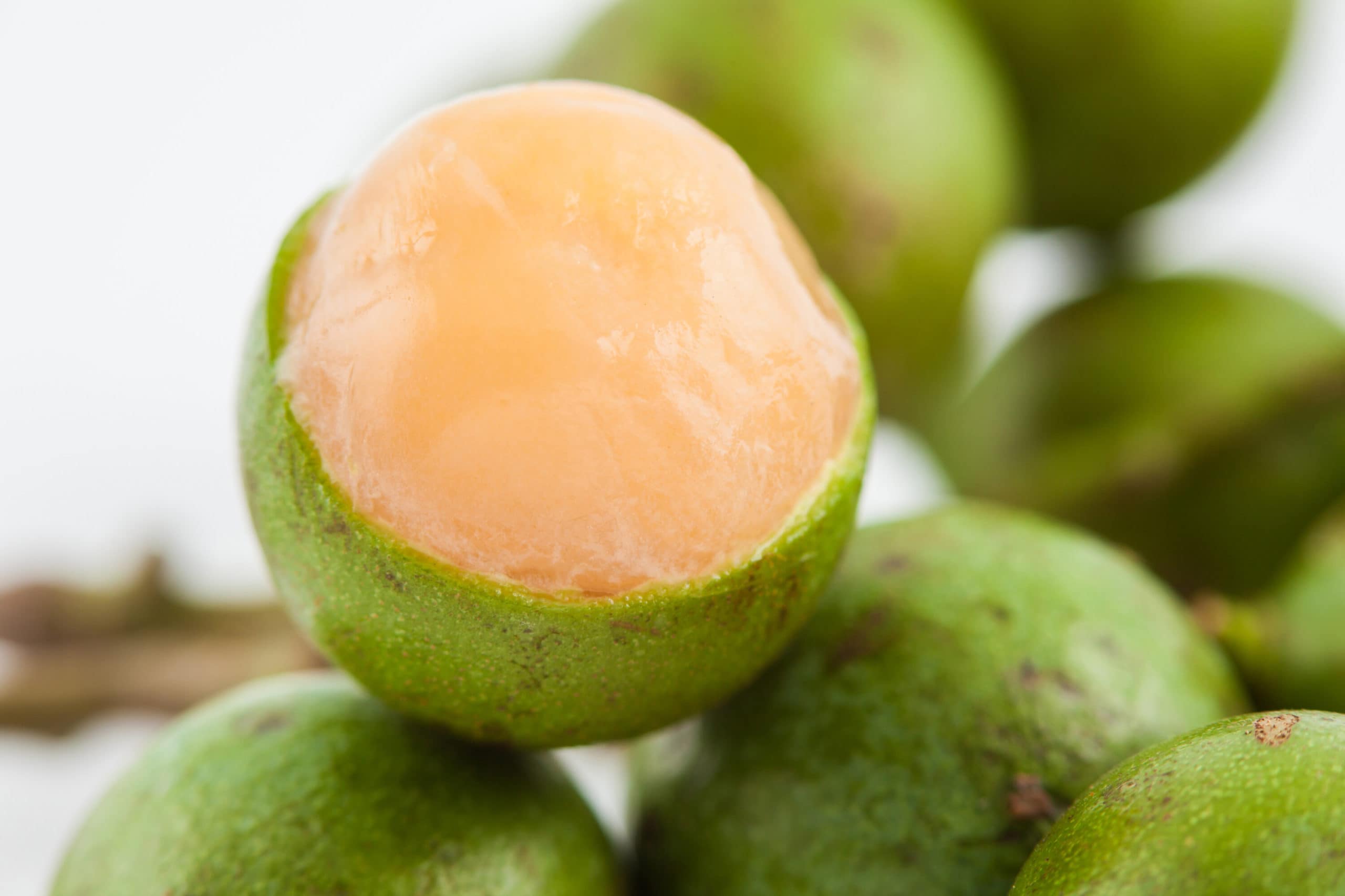 guinep fruit peeled close up