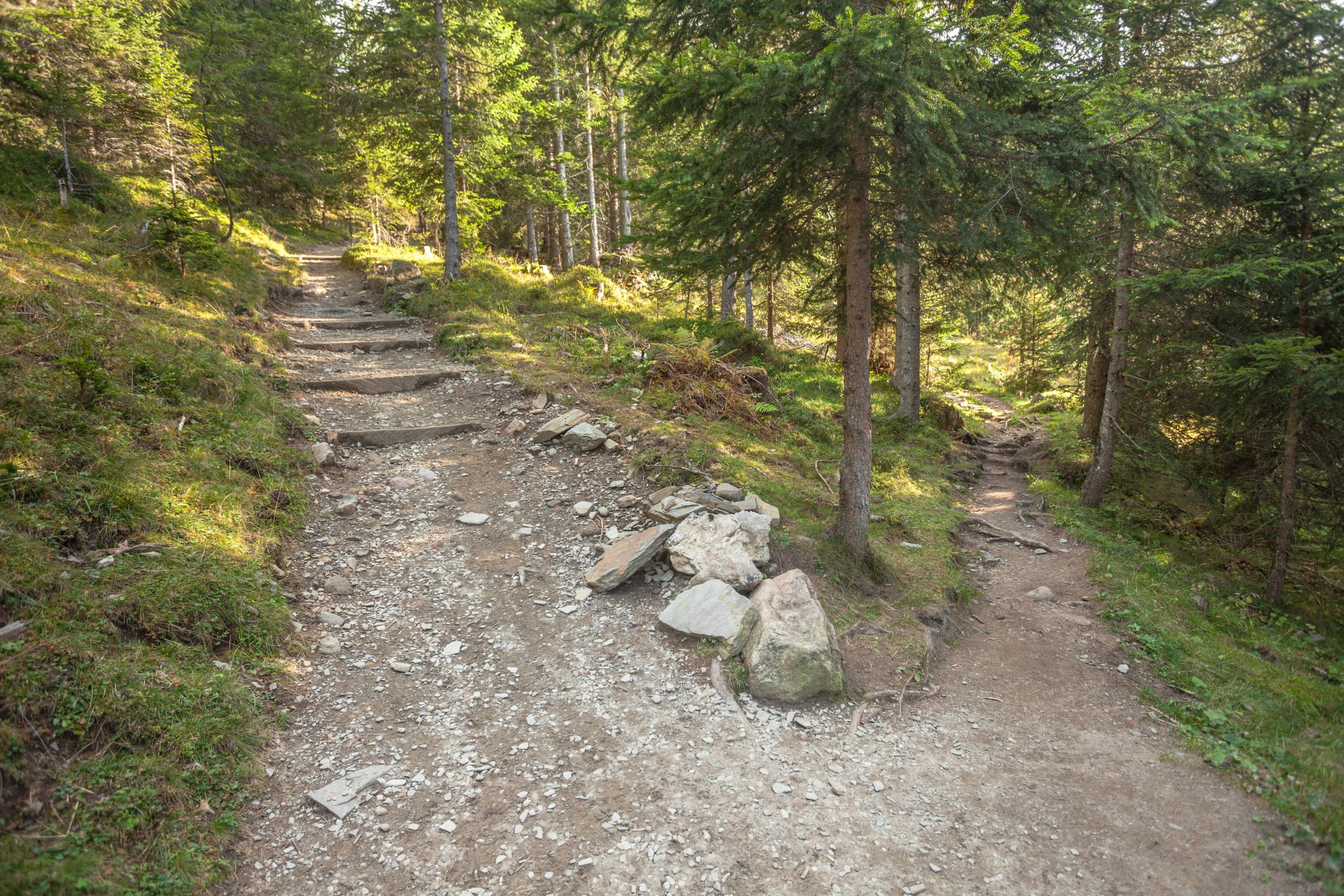 A single mountain path splits in two different directions.