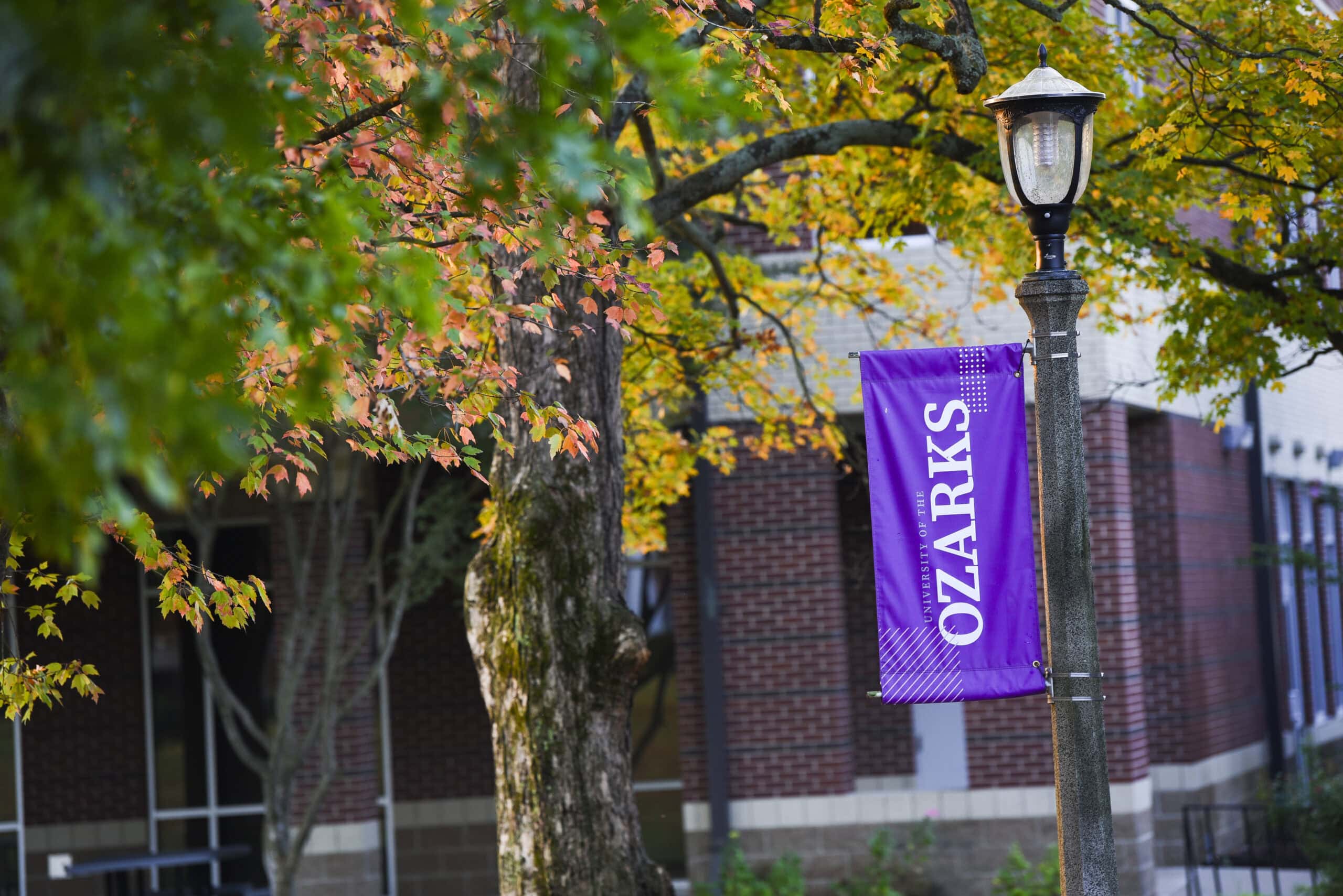 campus banner