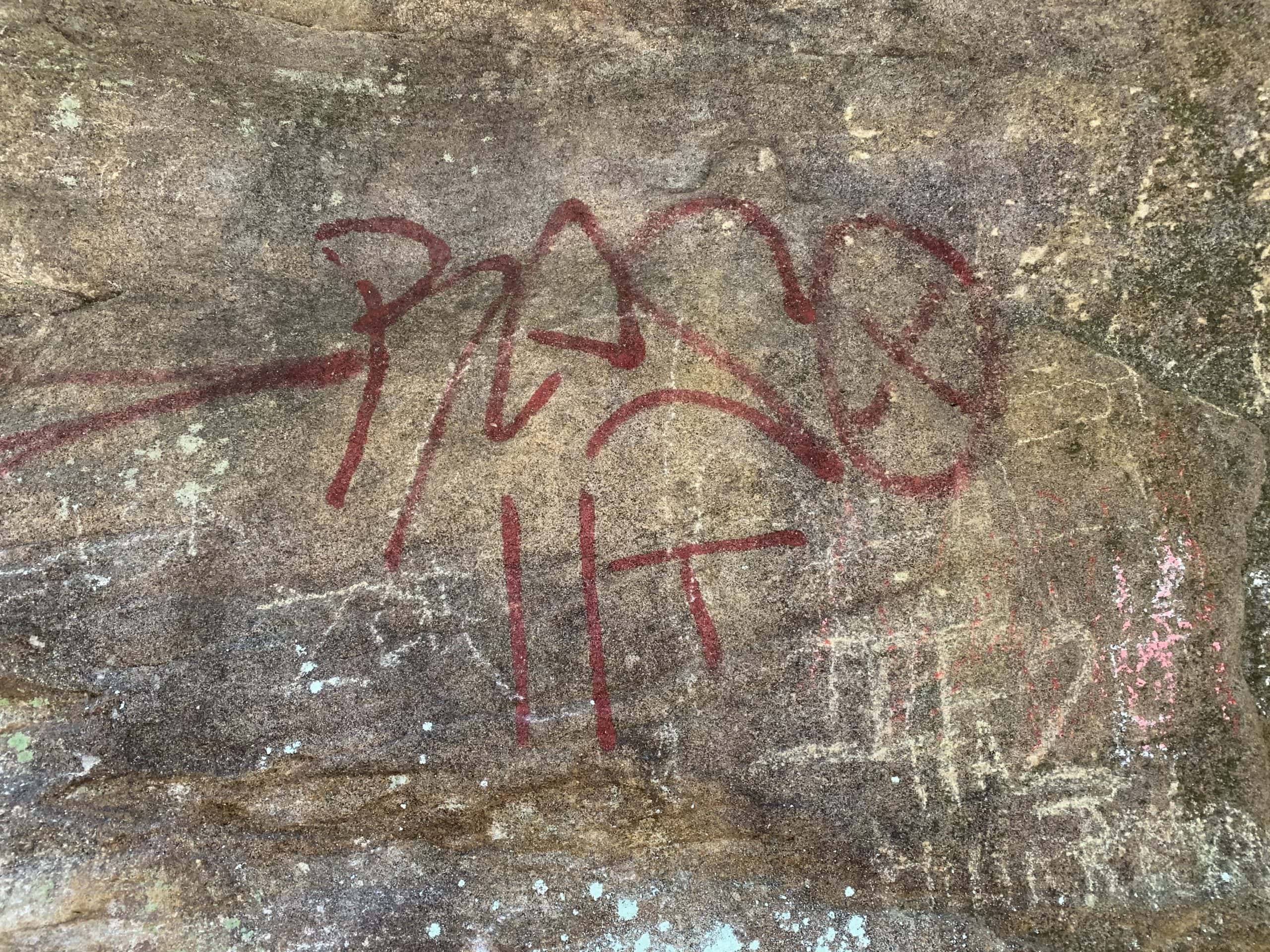 A tall rock wall provides hikers with a bit of shade while on the Alice Knight Memorial Trail. Hikers will reach this area just before getting to the waterfall. The rock wall is another place at Coonskin Park where humans and nature collide. The natural moss has grown over years-old graffiti on the rocks while newer paint markings are more visible. ALL PHOTOS BY AMANDA BARBER