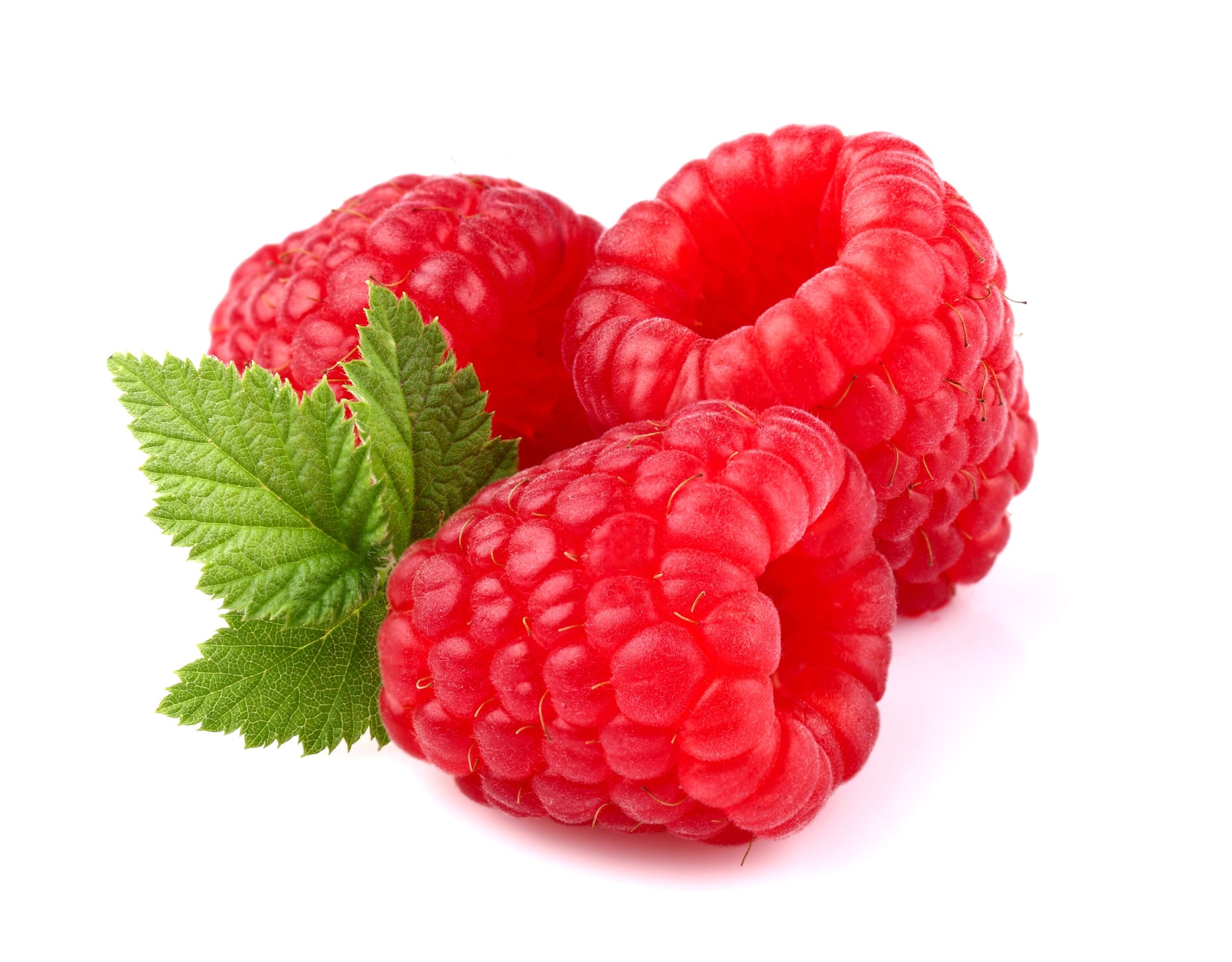 raspberries isolated on a white background