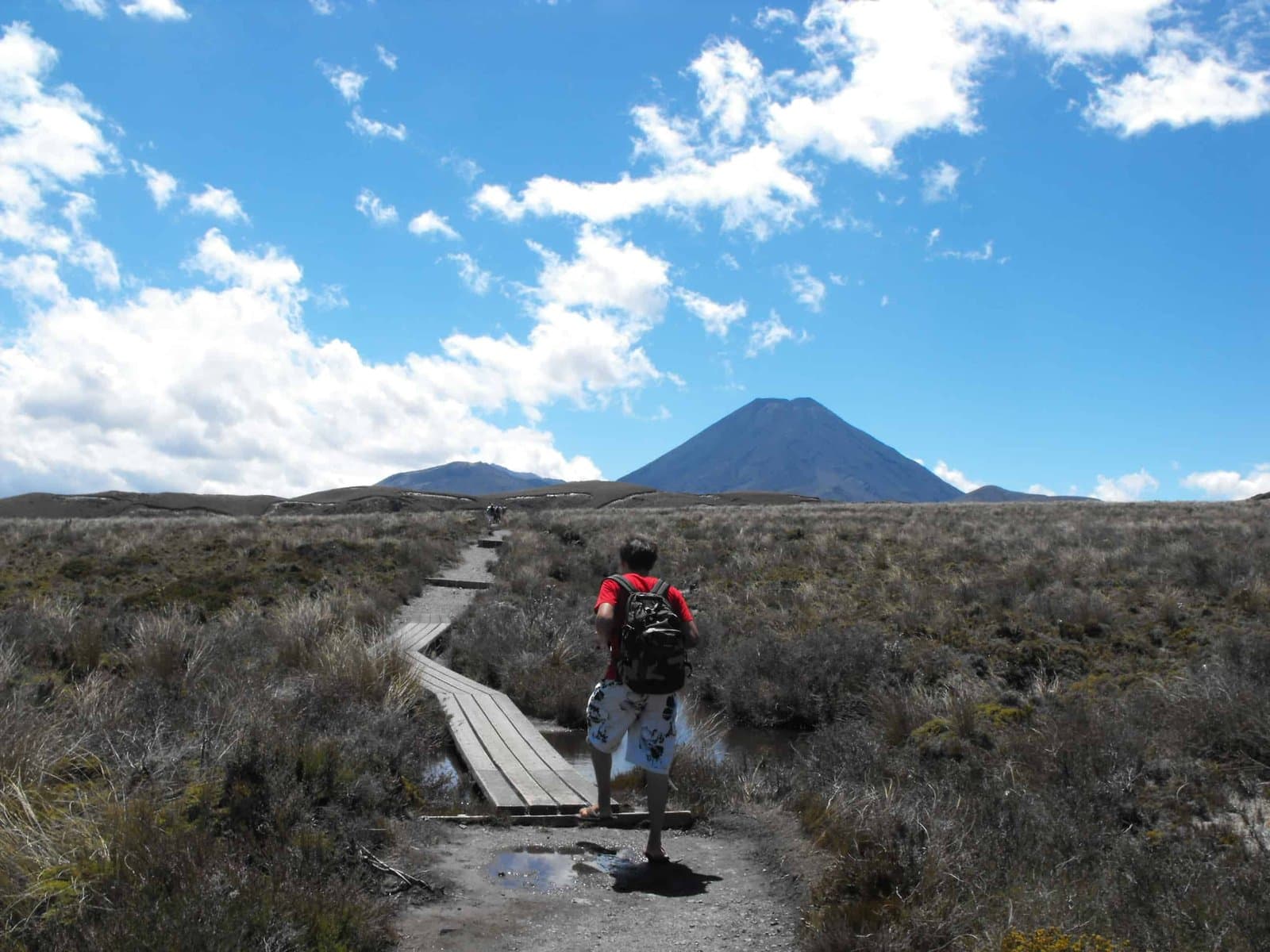 Tongariro National Park