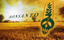 Monsanto