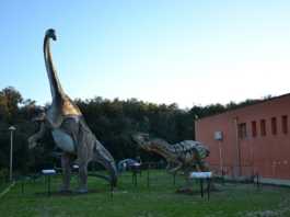 CALIMERA