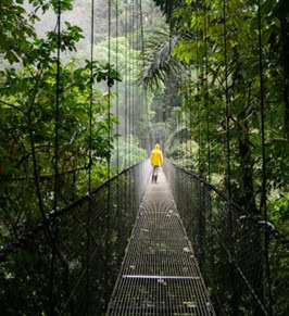 Upcoming Events and Excursions in Costa Rica