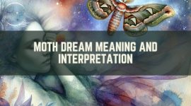 Moth Dream Meaning and Interpretation