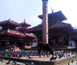 nepal mangatrip