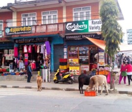 putovanje sa decom u Nepal Putovanje u Nepal