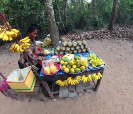 Kambodža Žena prodaje banane, mango i ananas za drvenom tezgom pored šumskog puta