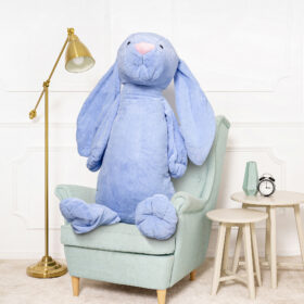 Zdjęcie Pluszaka