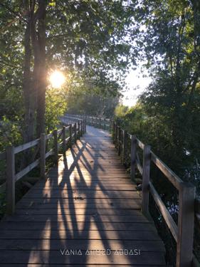 Image for third blog