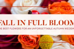 Fall in full bloom
