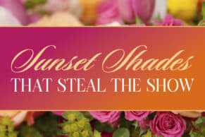 Sunset shades that steal the show