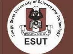 ESUT Transcript and Original Result Application – How To Apply