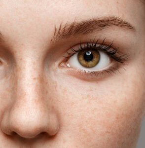 Eyes,Woman,Eyebrow,Eyes,Lashes,Nose,Freckles Eyes,Woman,Eyebrow,Eyes,Lashes,Nose,Freckles