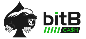 BitB Cash – Poker Training