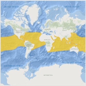 Oceanic Manta Ray Range