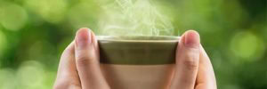 Herbal Remedies for Your Gums
