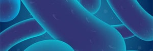 Oral bacteria