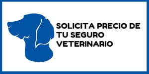 Solicita precio de tu seguro veterinario