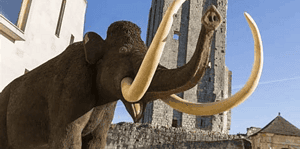 Musée Grand Pressigny