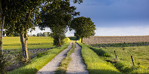 1_randonnee-autour-de-ligueil_david-darrault_2030-10-31_medium