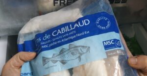 Peche durable vignette