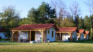 DSC 3133 M 1 300x169