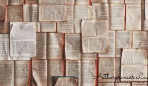 author business plan