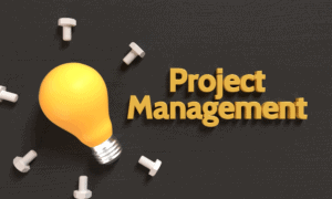 Project Manager