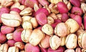 kola 10 health benefits