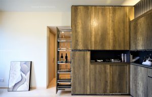 大埔半山 天鑽 The Regent