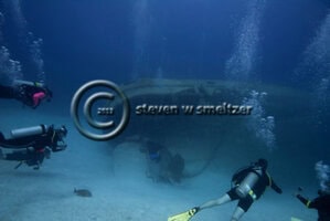 Diving the USS Kittiwake