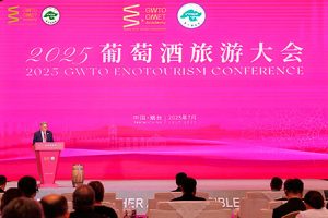 yantai cumbremundialgwto 1 1