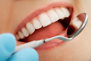 Tooth morphology: studying the shape and design of your teeth.
