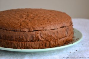 Pan di Spagna al cacao bimby