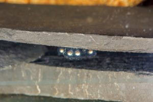 Neurergus derjugini eggs attached underneath rocks photo by Andrea Aiello